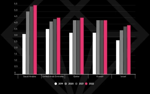 中东和北非： 移动经济的新兴掘金市场