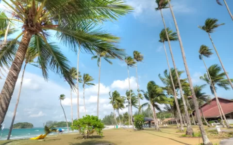 2023俄罗斯手游买量报告发布，中国厂商在动作、策略品类最能吸金