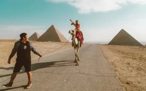 新政规范电商发展：在埃及当网红也需要上税了！