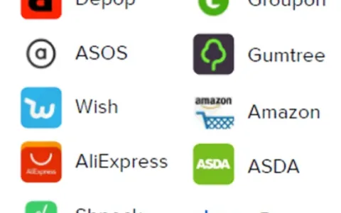 国外年轻人都用哪些APP购物？Z世代热门电商APP排行榜