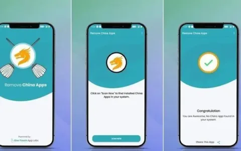 用扫帚除龙？印度出现“删除中国手机应用”的应用
