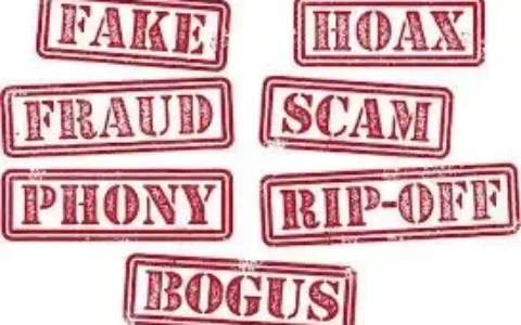 沙特商务部开始审查违规独立站