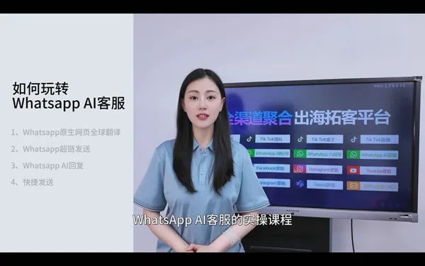 WhatsApp AI自动化客服、24小时自动回复、自动翻译
