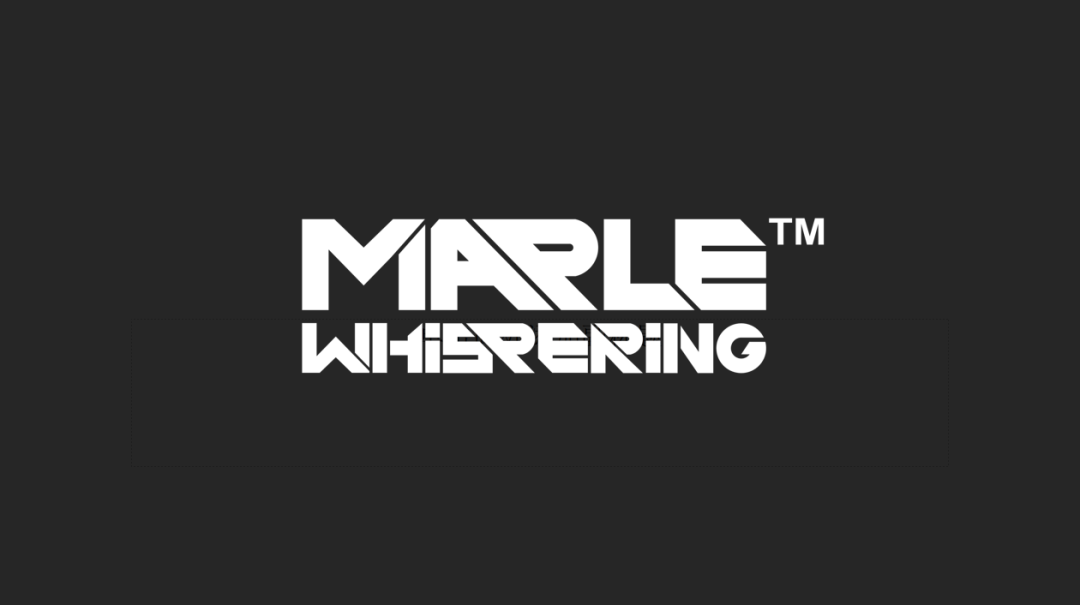 一年发行14款海外游戏，这家国产发行商有点强 | Steam发行商问路指南