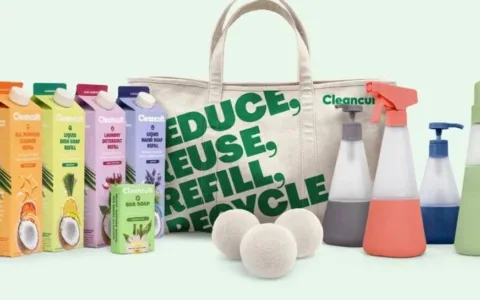 用牛奶盒卖清洁剂！这个独立站成立1年就狂赚2500万美金！