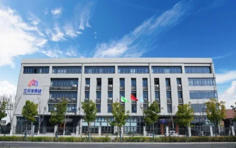 疯狂小杨哥进军TikTok：新加坡首播破纪录，三个月已吸粉200万