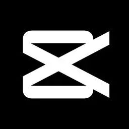 data.ai 5 月中国非游戏厂商及应用出海收入 30 强：视频编辑 App FacePlay 上升 43 位，收入环比增长 278%