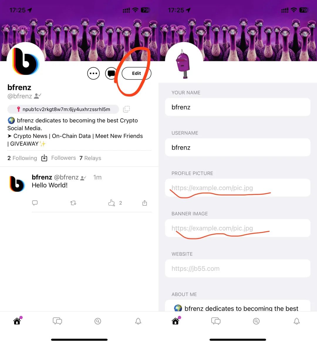 Twitter 创始人力挺Web3新社交项目 Damus！为什么突然爆火？