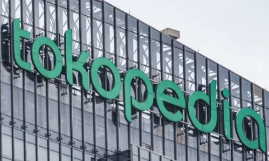 Tokopedia公布上半年热销品类，印尼市场潜力十足