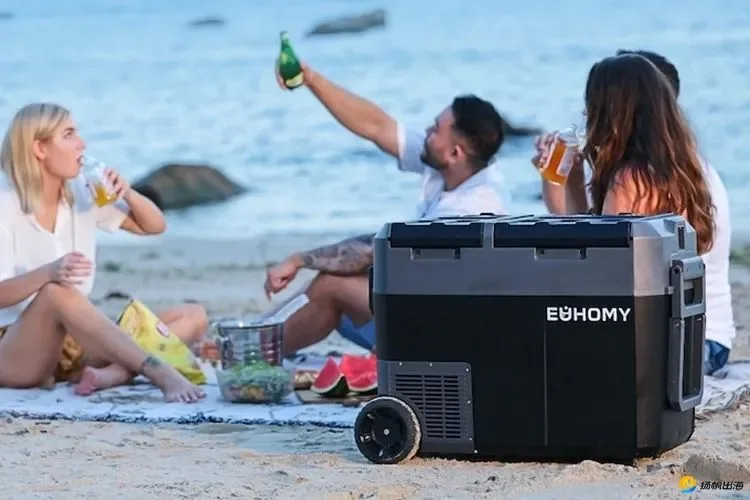 创下14亿年收入，来自宁波的200多人团队如何凭借“冰块生意”突围北美？