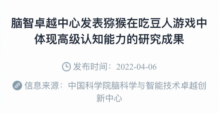 给宠物选购电子游戏，是铲屎官要研究的新学问