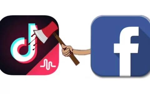 百亿级投资拉战友！Facebook印度狙击Tik Tok！