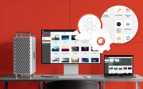 中东独立站卖家必须知道的新调研报告：页面优化很重要！