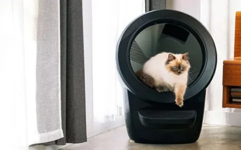 5000块的猫砂盆卖出百万销量！“铲屎”到底有多吸金？