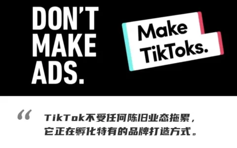 中国商家，在TikTok找到出海营销的答案