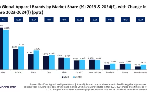 跻身全球前三，独角兽SHEIN不唱独角戏