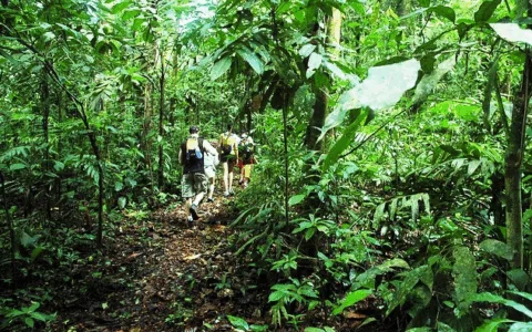 出海社交上路难？避坑指南建议收藏