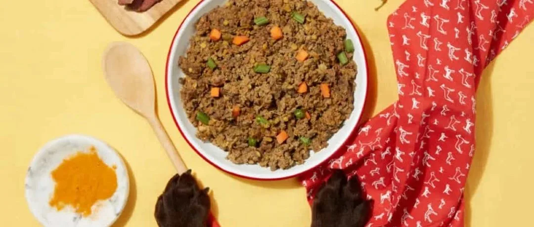 单笔融资25亿！这个独立站如何靠"狗粮"超车崛起？