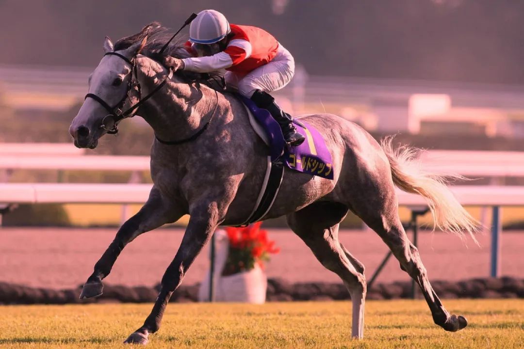 马术竞技游戏即将在日本市场迎来井喷时代？