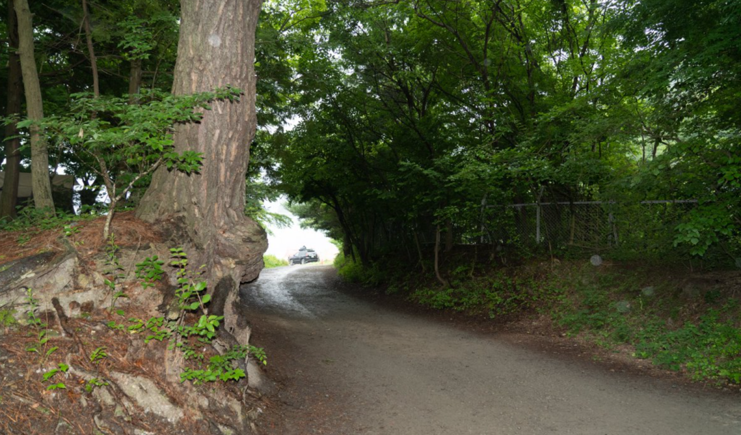 你需要用电子露营游戏来看风景吗？