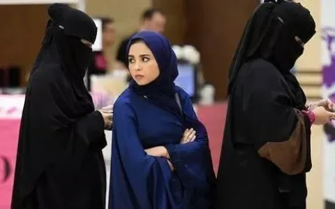 谈谈沙特电商的天花板和突破点