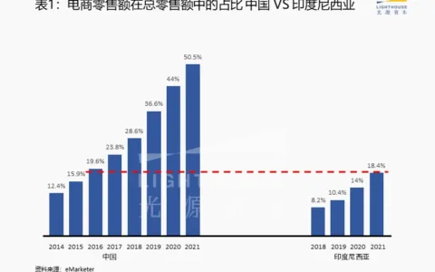东南亚市场系列研究（三）：电子商务赛道观察