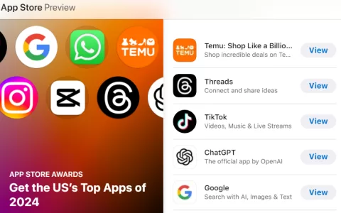 ​Temu年度霸主地位稳固，蝉联美国下载榜冠军