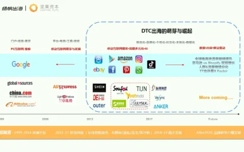坚果资本 合伙人 孙鸿达：《品牌出海是跨境电商的诺亚方舟还是海市蜃楼？》