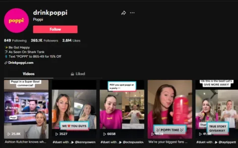 一夜之间销售额超10万美元！TikTok小品牌的营销打法