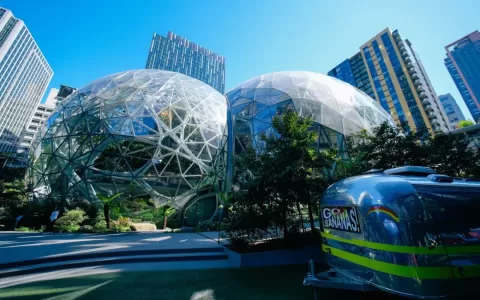 电商的美国游戏，游戏里的中国玩家