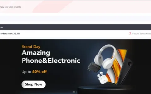 Temu 吊打 Fanno！If Yooou岌岌可危？