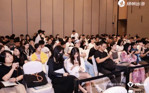 下一片掘金热土：解码中东拉美市场，撬动出海新增长