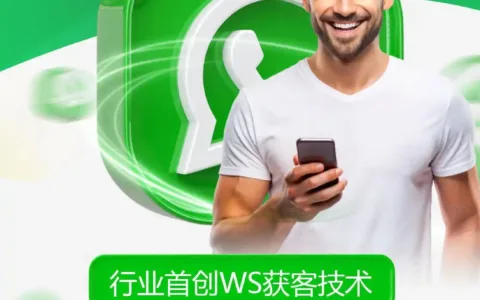 WhatsApp 磐石系统助力询盘转化，日询盘200+，让外贸获客更加简单！