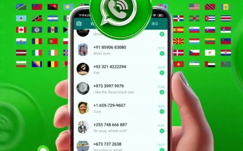 中小外贸企业缺预算？WhatsApp磐石系统用绿标号+超级号低成本撬动全球精准营销！