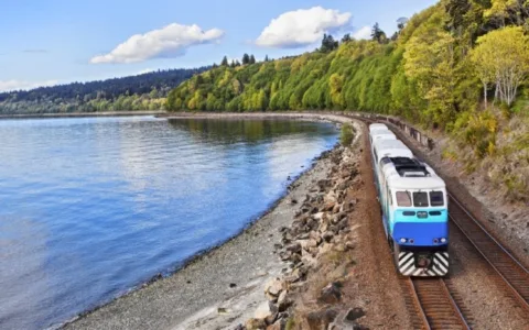 中欧班列跑出“加速度”，搭建起对外贸易的“钢铁桥梁”