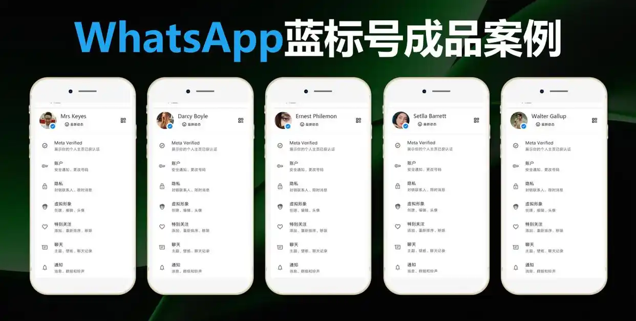 外贸人必看！WhatsApp营销如何突破风控，让账号“坚如磐石”？