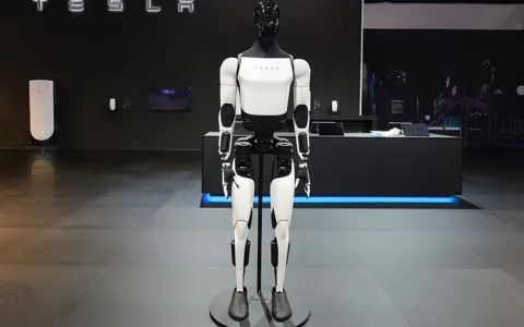 马斯克：Optimus机器人明年开卖