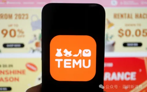 土耳其突袭搜查Temu办公室