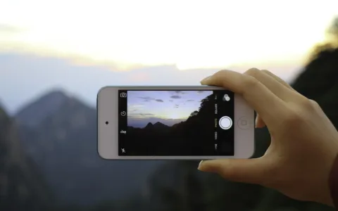 我的APP靠WhatsApp活了，但蓝标认证这个坑，我差点没爬出来