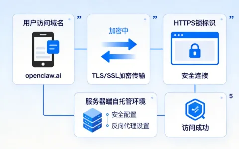 OpenClaw官网地址解析：域名结构、镜像及SSL安全